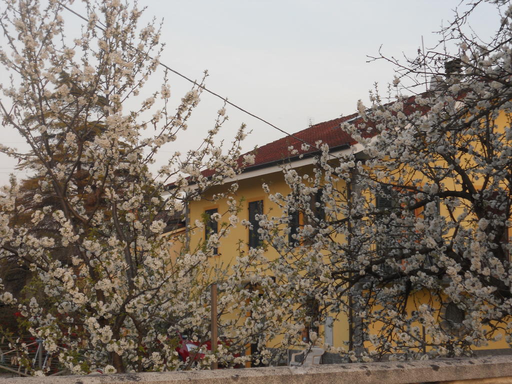B&B Pervinca Rocca Grimalda Buitenkant foto