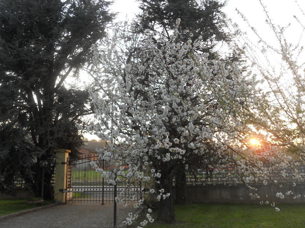B&B Pervinca Rocca Grimalda Buitenkant foto