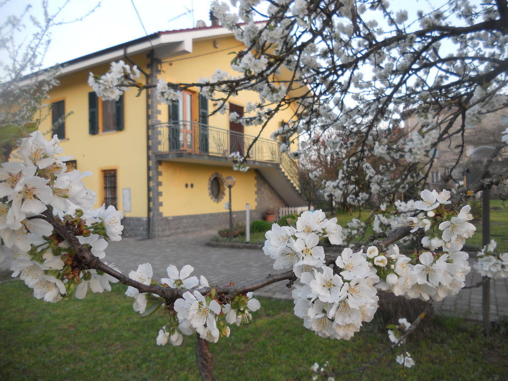 B&B Pervinca Rocca Grimalda Buitenkant foto